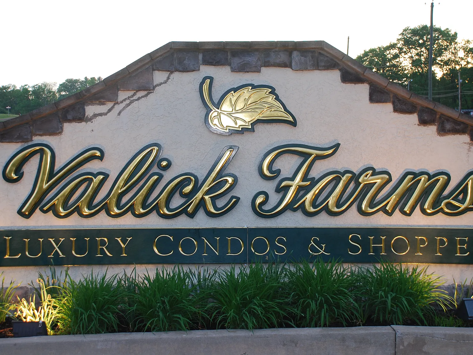 Yalick Farms — Photo 2