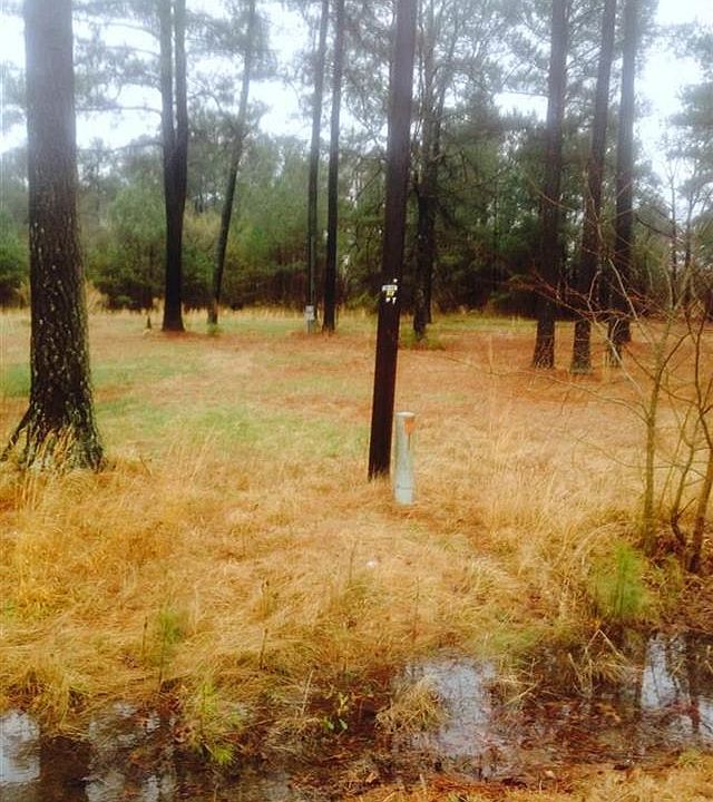 2nd image of 1090 Hales Rd