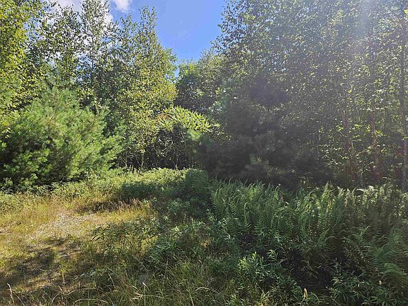 5th image of Lot 3.3 Off Parker Road