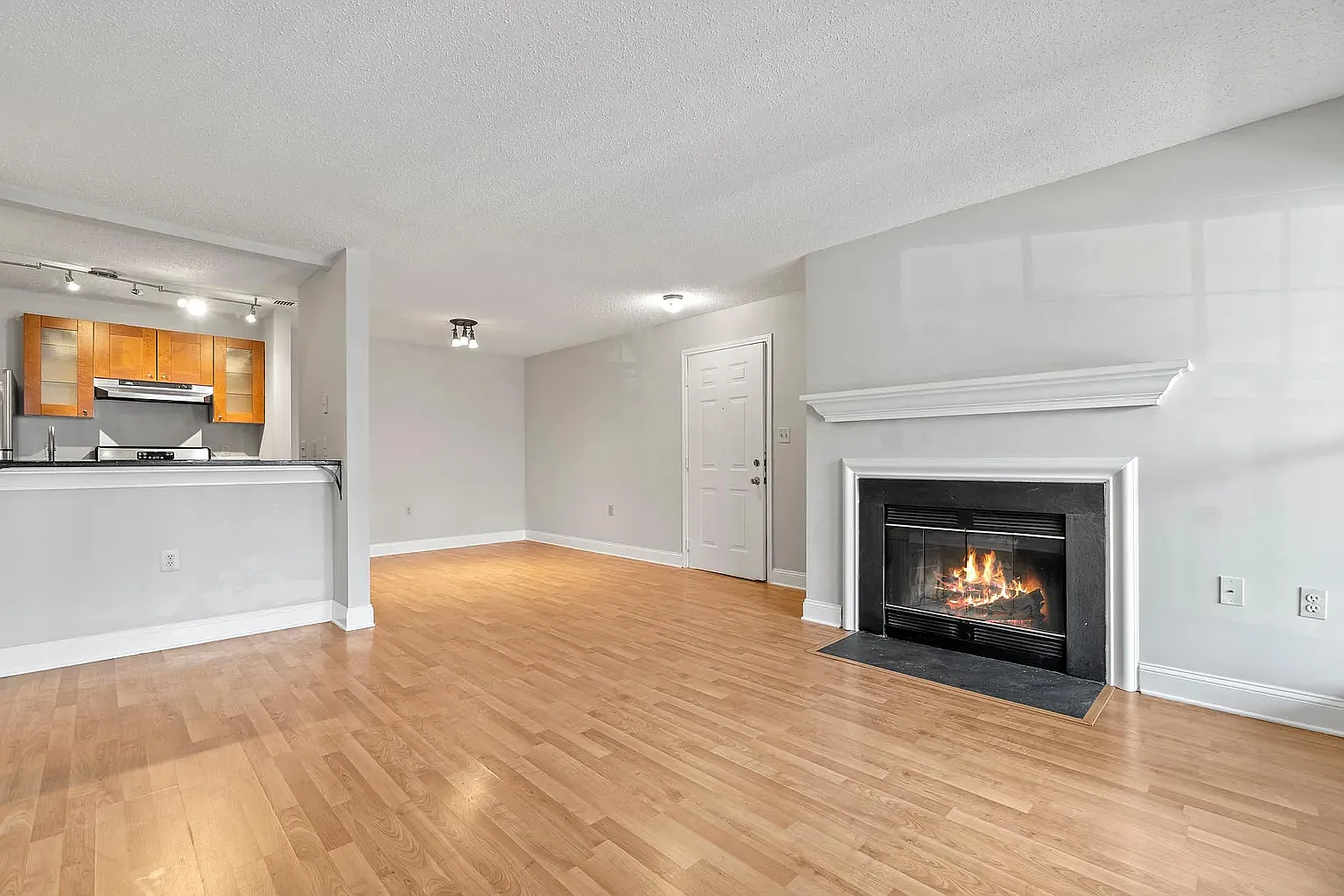 1 bed, 737 sqft, $1,950 — Photo 3