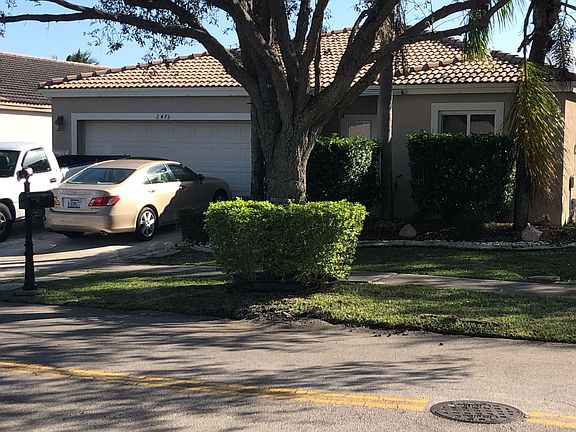 Beautiful manicured hedges