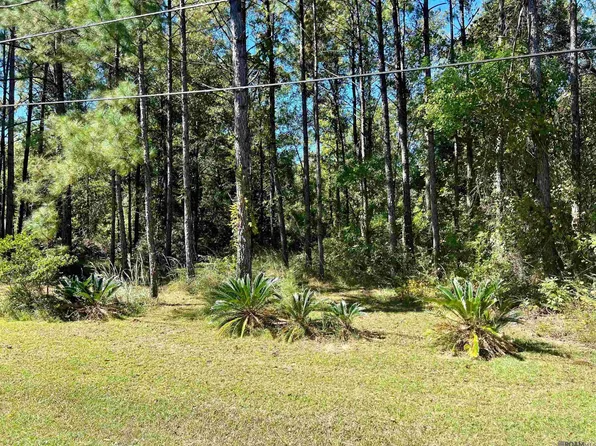41445 Jodie Ln, Hammond, LA 70403