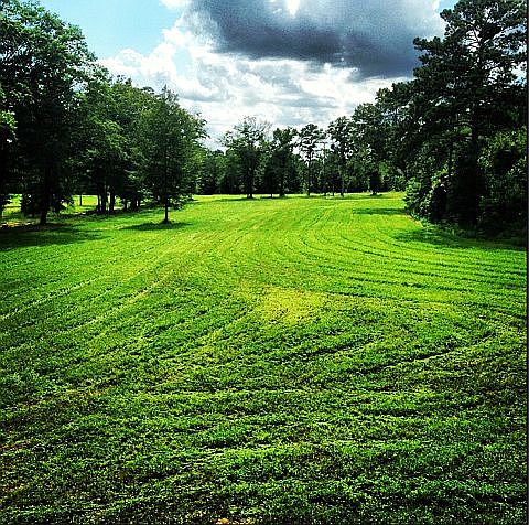 Food plot