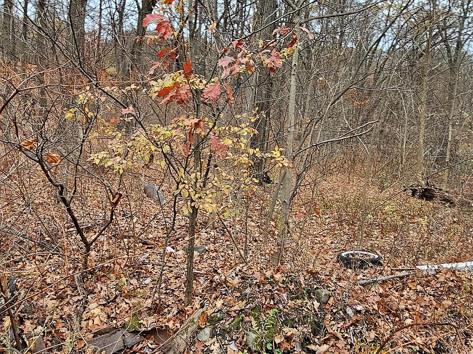 2nd image of 73 Sylvan Trail
