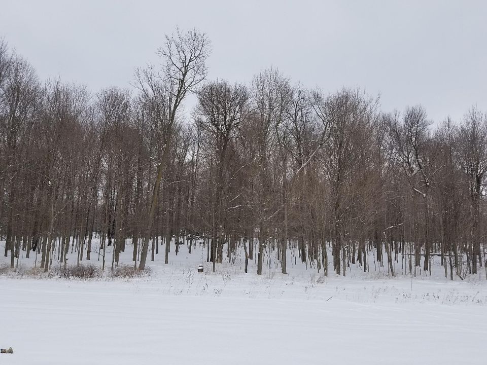 2nd image of 0 11th St
