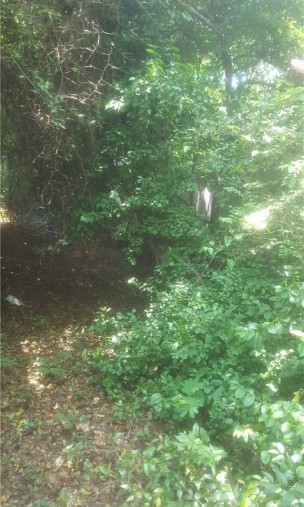 2nd image of 2505 Muriel Dr
