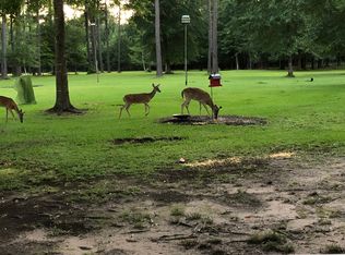 120 Hooks Rd, Lumberton, TX 77657