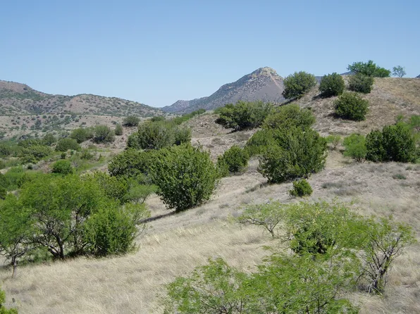 806 Side Oats Ln Lot 197, Patagonia, AZ 85624