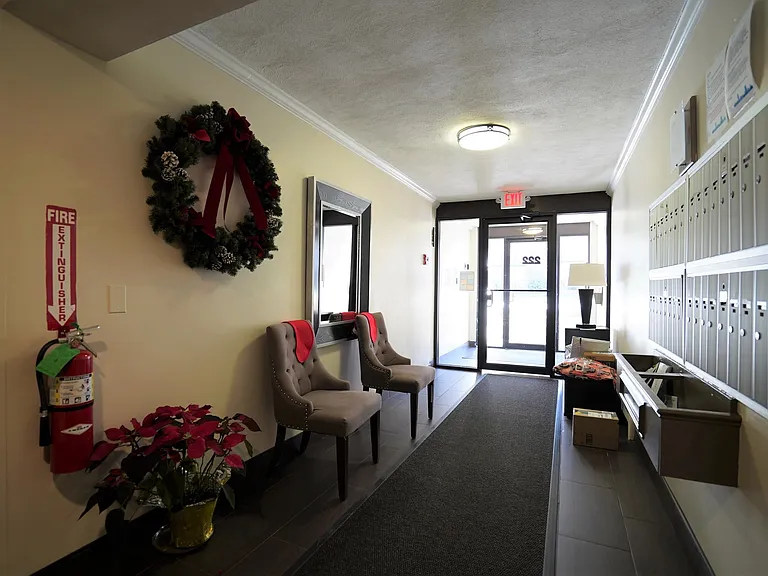 236 Babcock St #2 — Photo 23