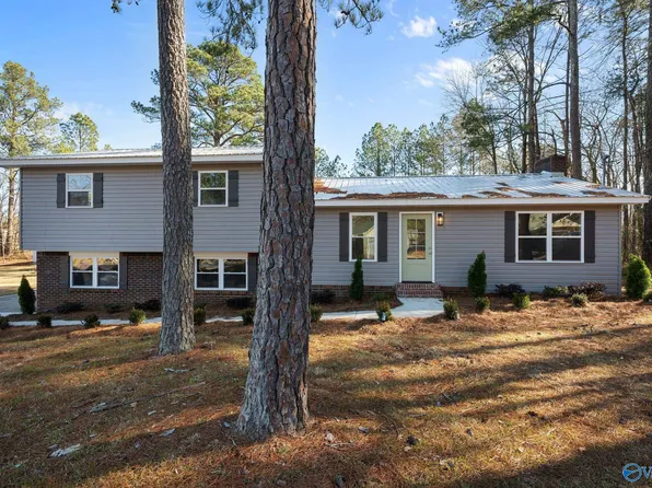 1571 Lee St, Southside, AL 35907