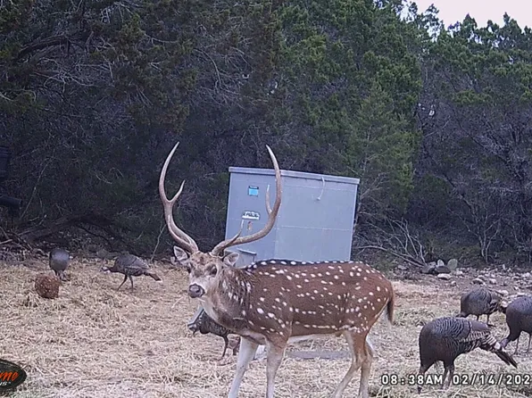 TBD RM 334, Brackettville, TX 78832