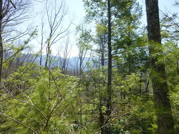 Lots 24&25 Sonshine Ridge Rd, Cosby, TN 37722