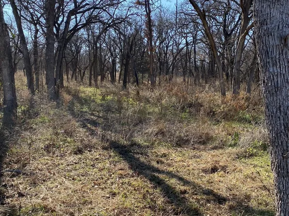 115 Banjo Ct, Alvord, TX 76225