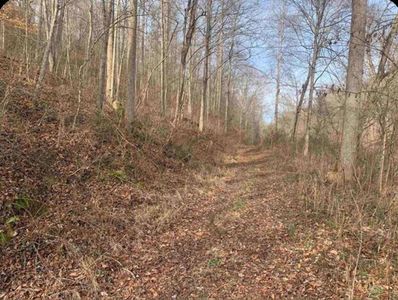 0 State Route 784, Greenup, KY, 41144