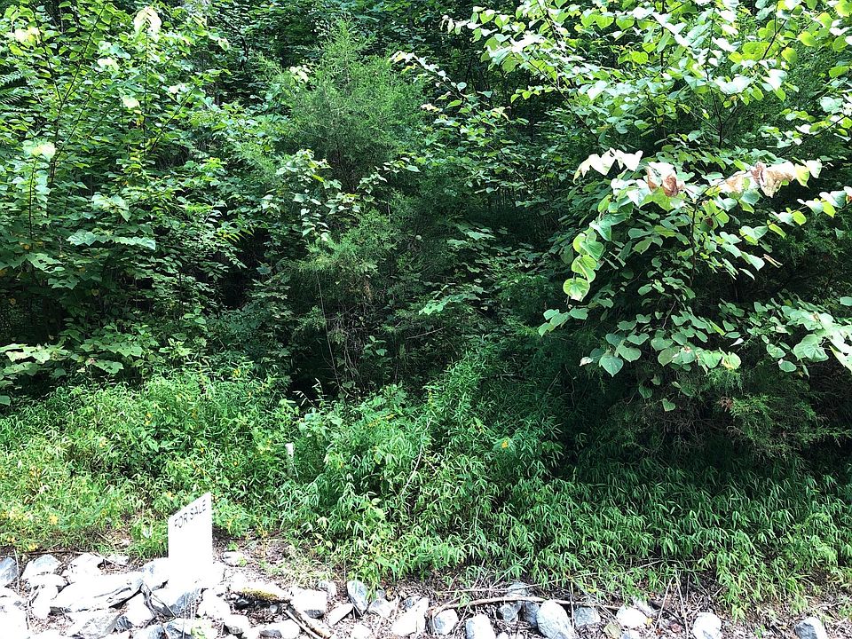 2nd image of 125 Bay Dr