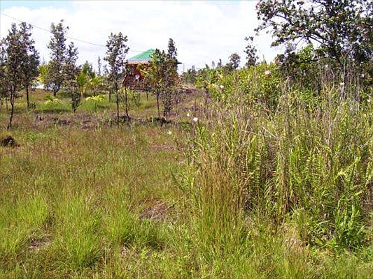 2nd image of 2nd Ave Lot 1446