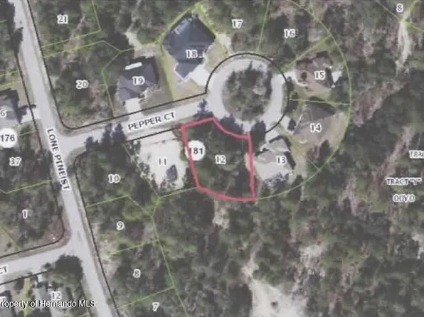 6 Pepper Ct, Homosassa, FL 34446