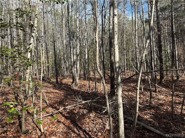 0 Mill Quarter Rd #6, Ford, VA 23850