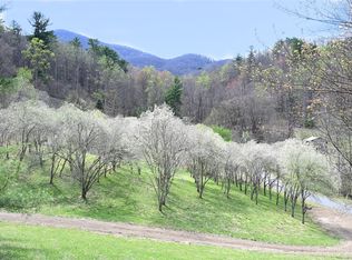 4101 Upper Shut In Rd, Hot Springs, NC 28743