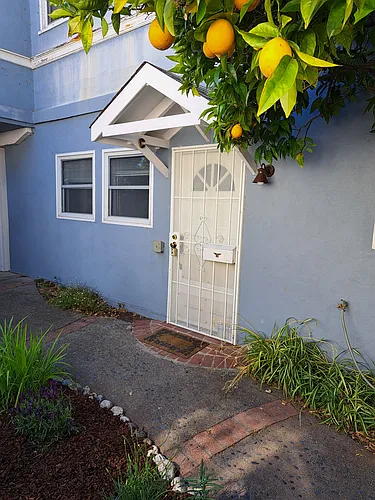 837 San Anselmo Ave #C Photo 1