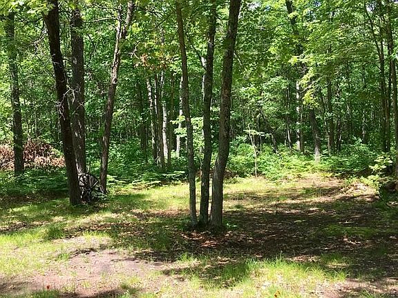 3rd image of 10441 Northwoods Trl
