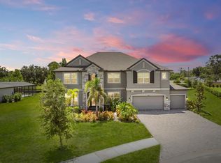 9508 Pyrenees Pl, Seffner, FL 33584