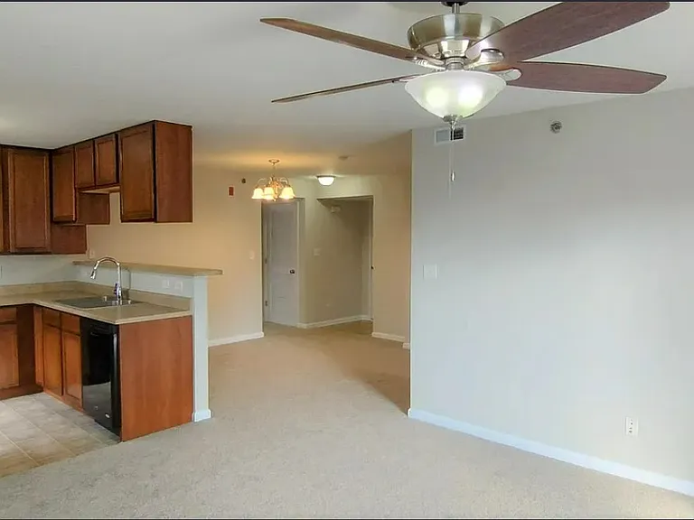 3202 Spring Creek Ln — Photo 5