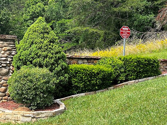 3rd image of Cove Springs Dr