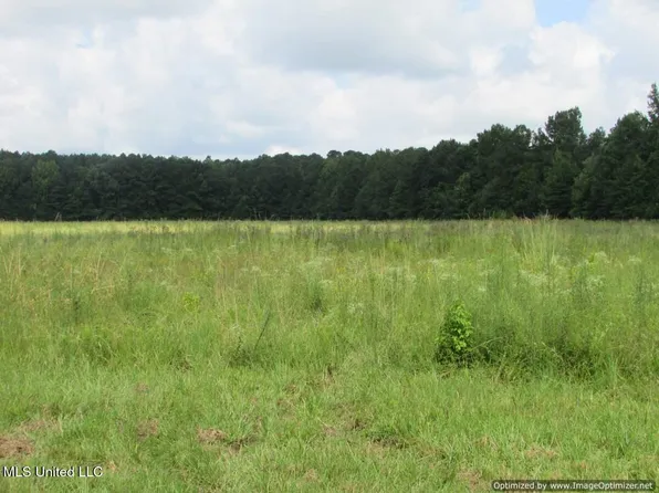 Smith Avenue Rd, Carthage, MS 39051