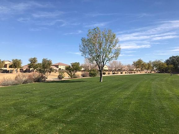 4368 W Alta Vista - greenbelt (4)
