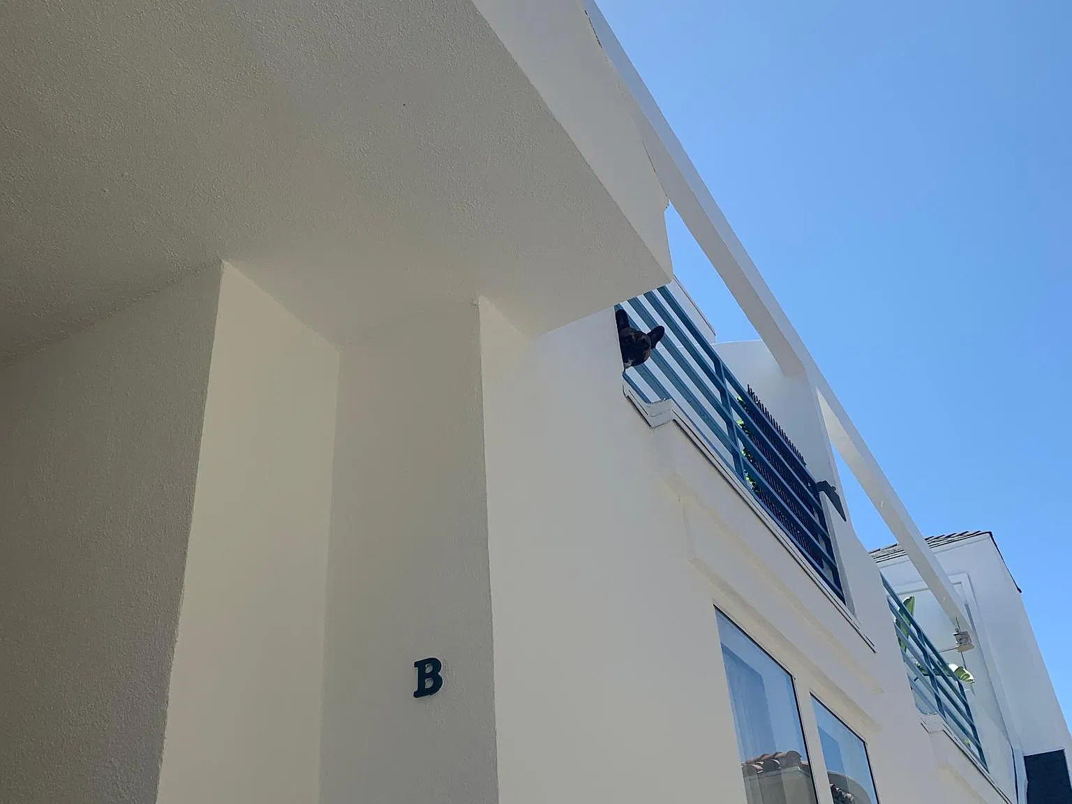 2 bed, 1300 sqft, $4,895 — Photo 3
