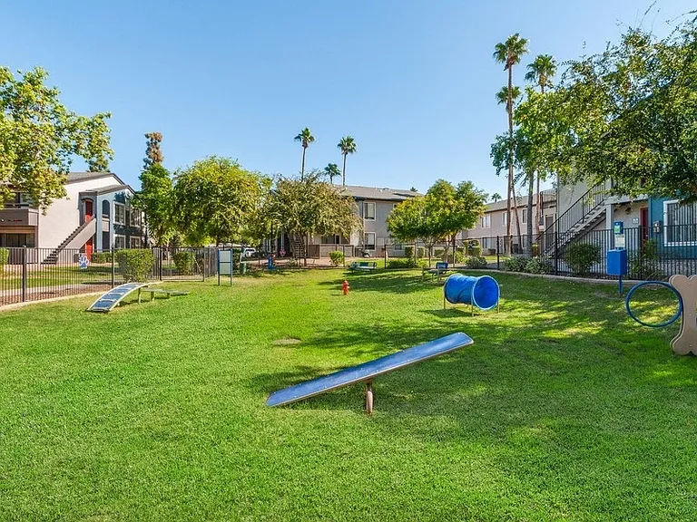 Palms at South Mountain — Photo 19