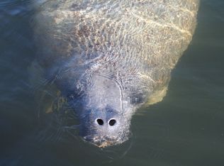 121 Mockingbird Rd, Plantation Key, FL 33036