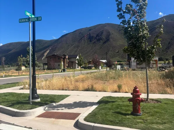 515 Running Brook Dr, Basalt, CO 81621