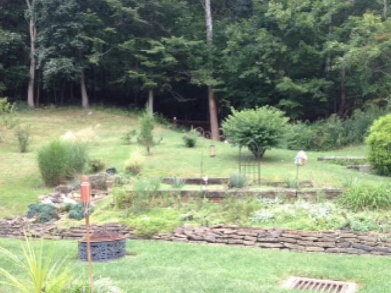Thumbnail 12