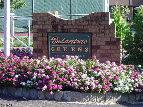 250 Ridgedale Ave Unit V1 #V1, Florham Park Boro, NJ 07932