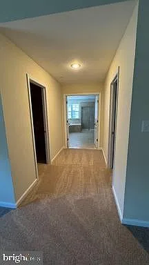 11151 Saint Christopher Dr — Photo 20