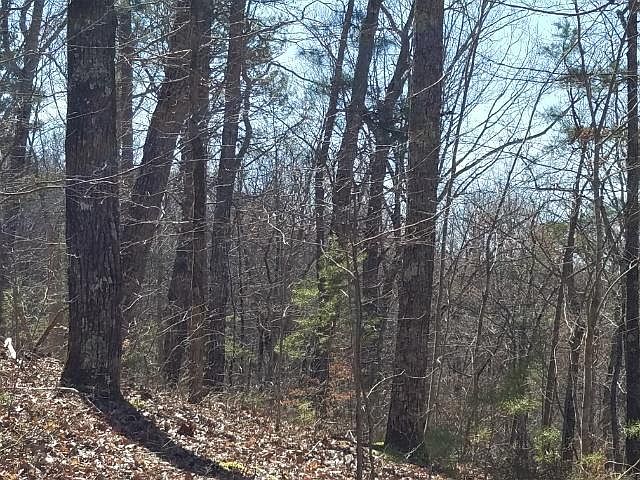 1st image of 715 Jewell Weed Way