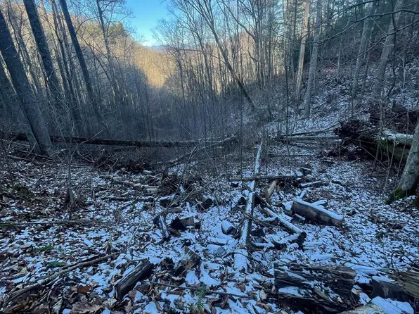 LOT 37&38 Enchanted Forest Dr, Sylva, NC 28779