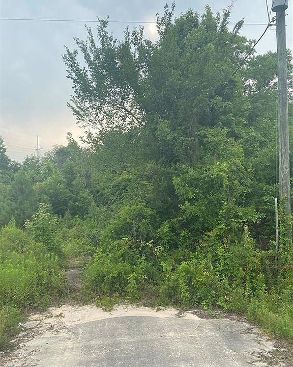 2nd image of 19050 Fm 1314 Rd