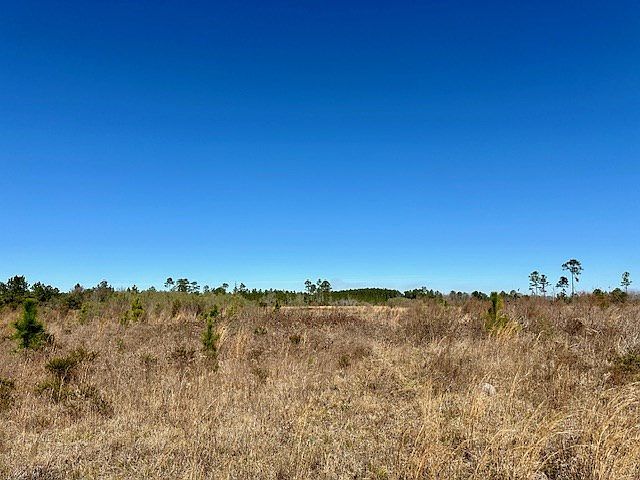 2nd image of 0 S Georgia Pkwy W