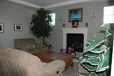 fireplace in living room
