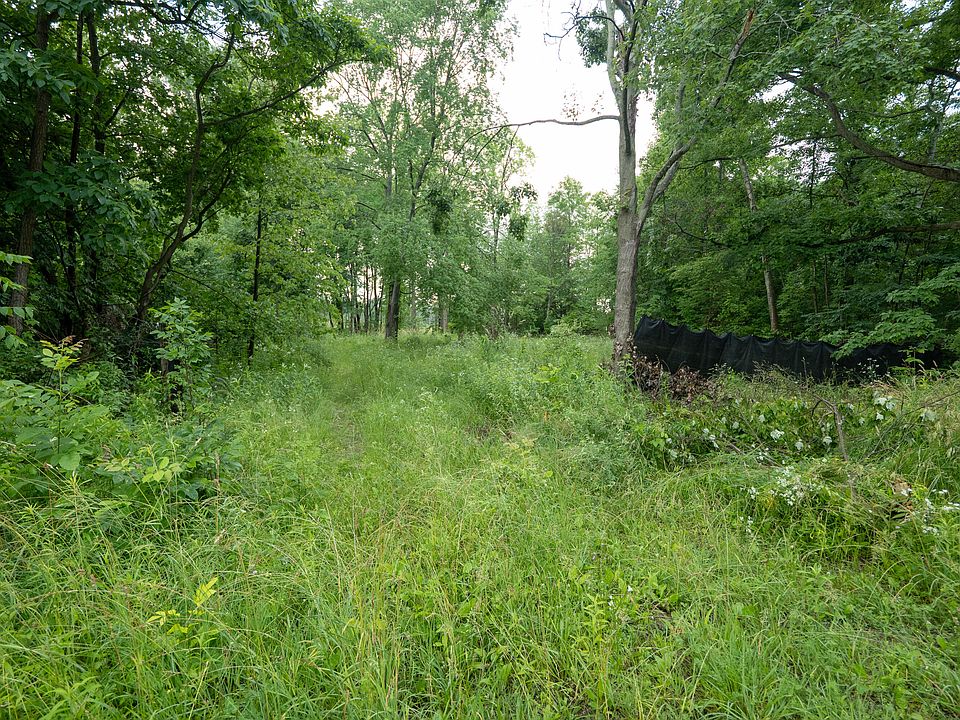 2nd image of Finch Rd