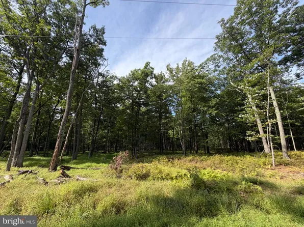 578 Chamonix Ln, Zion Grove, PA 17985