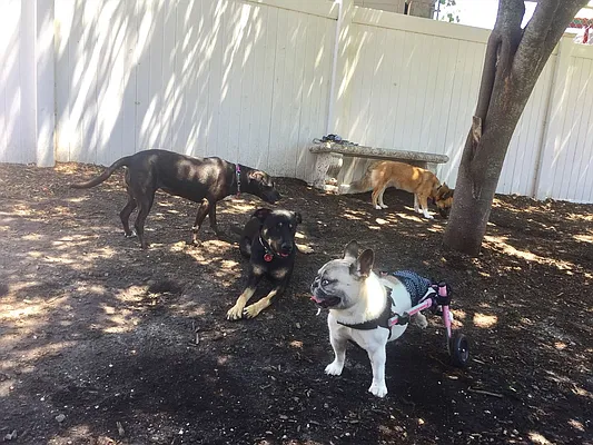 Rented by Corcoran | media 22