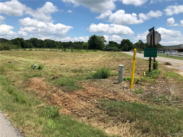0 Highway 171, Fayette, AL 35555