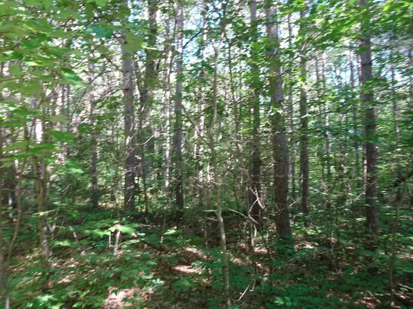 LOT 2 Haskell Heights Dr, Lac Du Flambeau, WI 54538