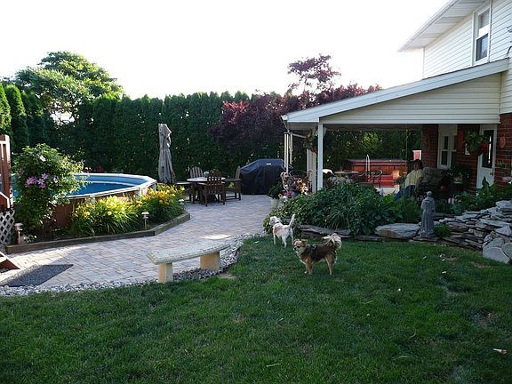 Part of the back yard