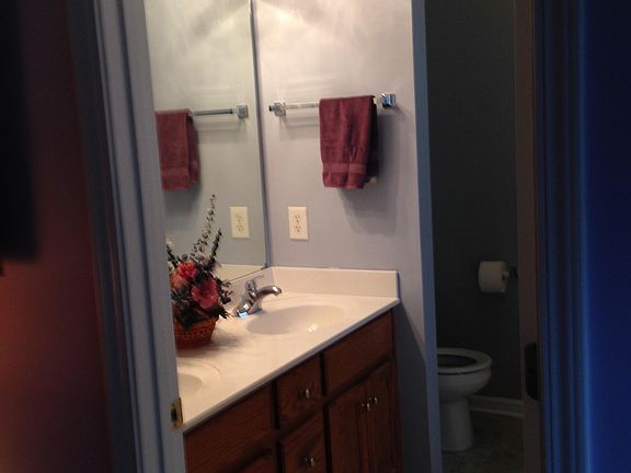 master bath double vanity