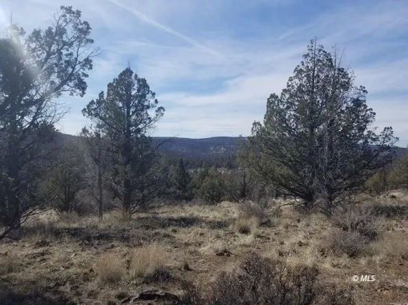 433/ADRE S Off Pencil Rd, Alturas, CA 96101